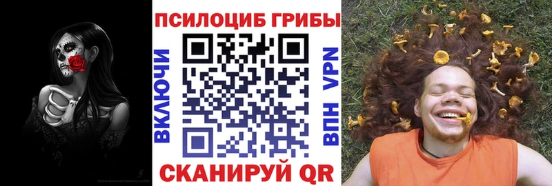 Псилоцибиновые грибы мицелий  Пустошка 